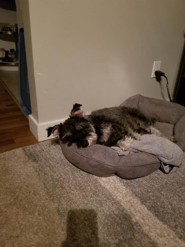 Photo - commentaire 1.