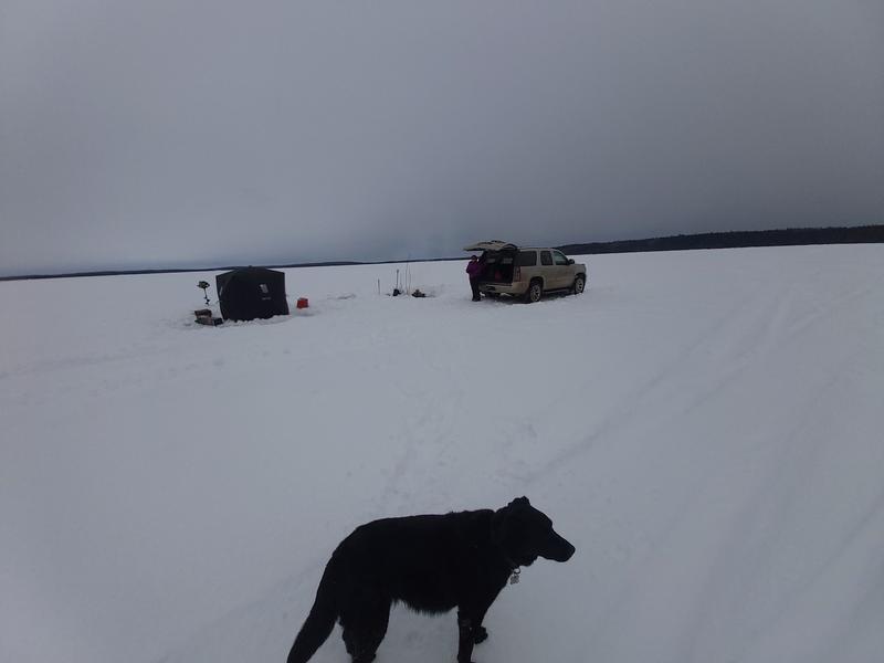 Photo - commentaire&nbsp;8.