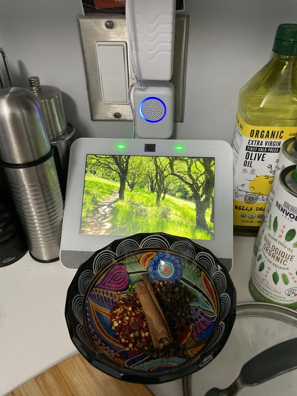 Photo - commentaire 3.