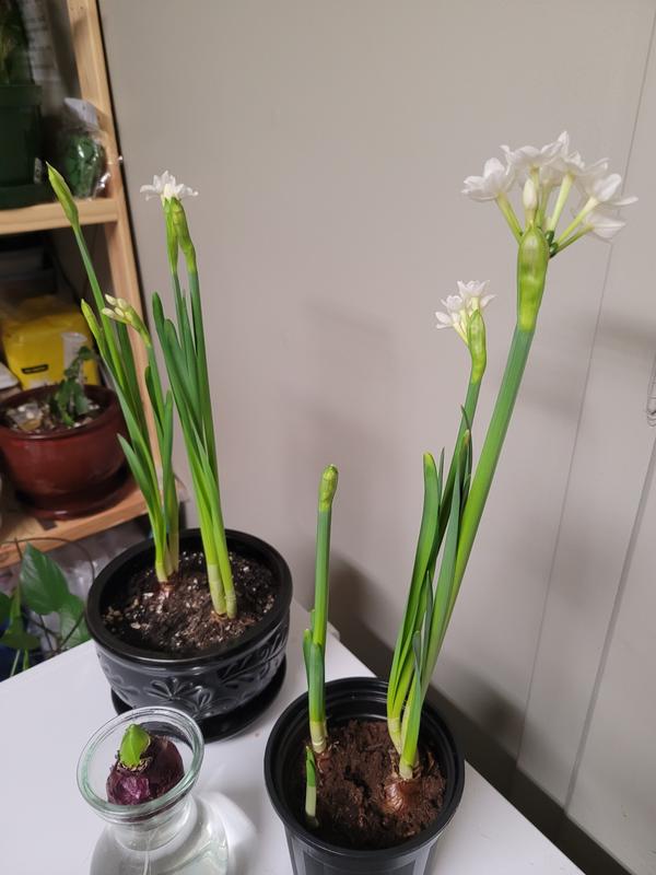 Photo - commentaire&nbsp;1.