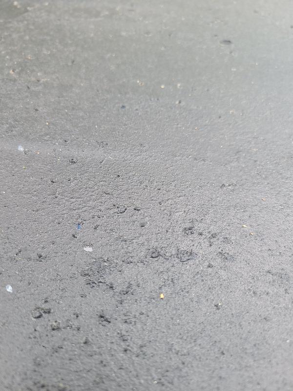 Photo - commentaire 8.