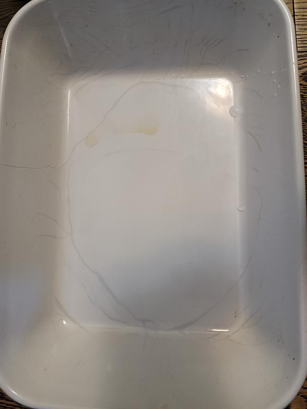 Photo - commentaire 6.