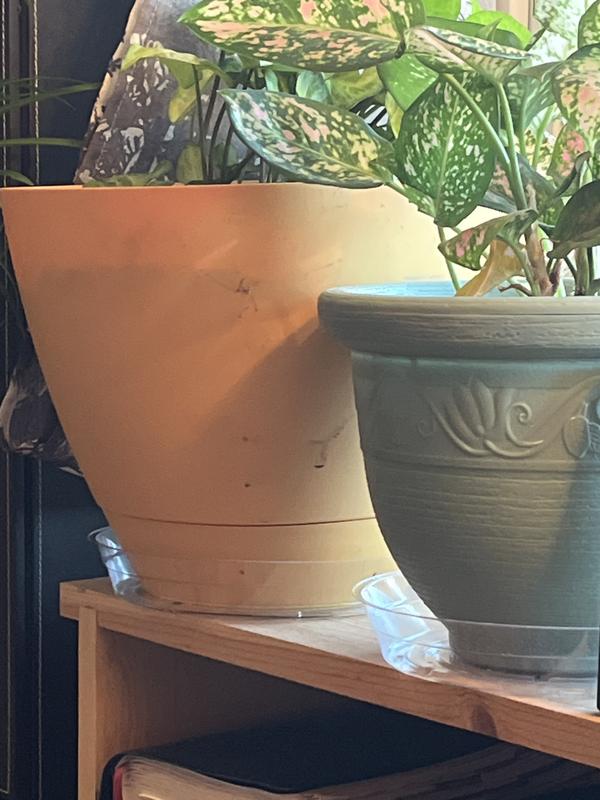 Photo - commentaire&nbsp;3.