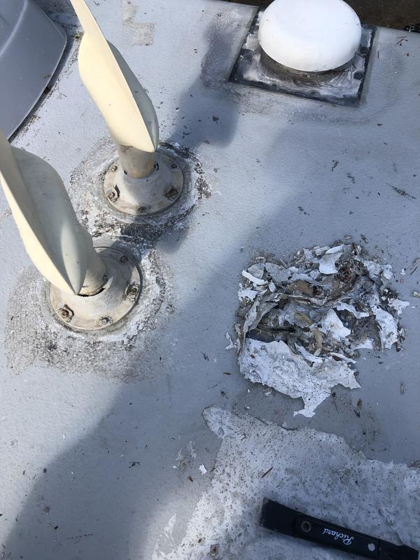 Photo - commentaire 4.