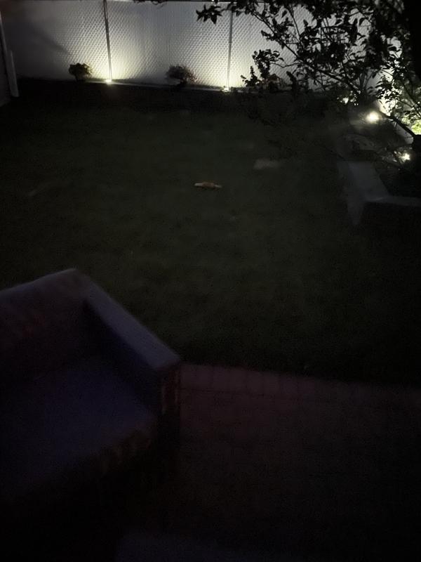 Photo - commentaire 2.