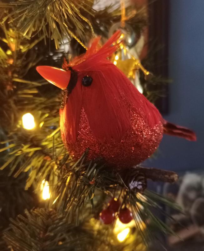 Cardinal is quite eye catching.