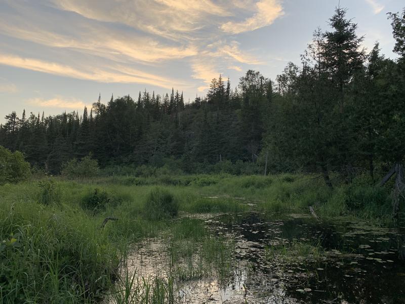 Photo - commentaire 1.