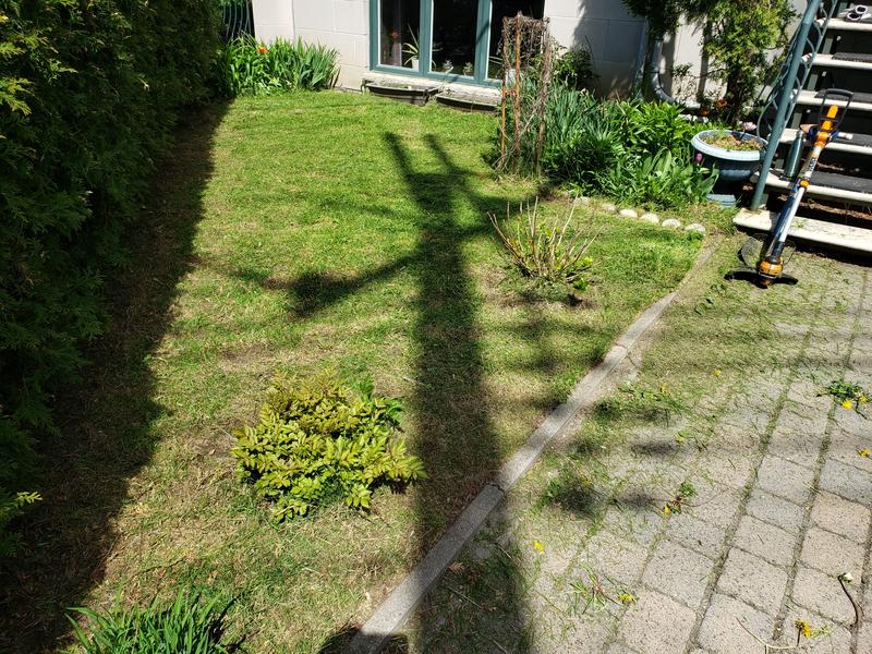 1/2 surfaces that we need to trim