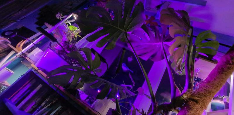 Photo - commentaire&nbsp;3.