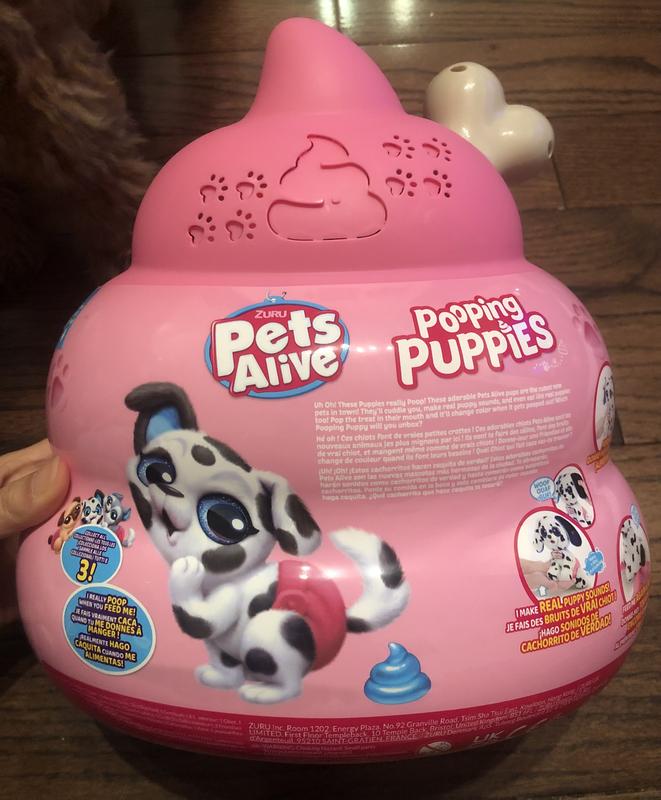 Photo - commentaire&nbsp;5.