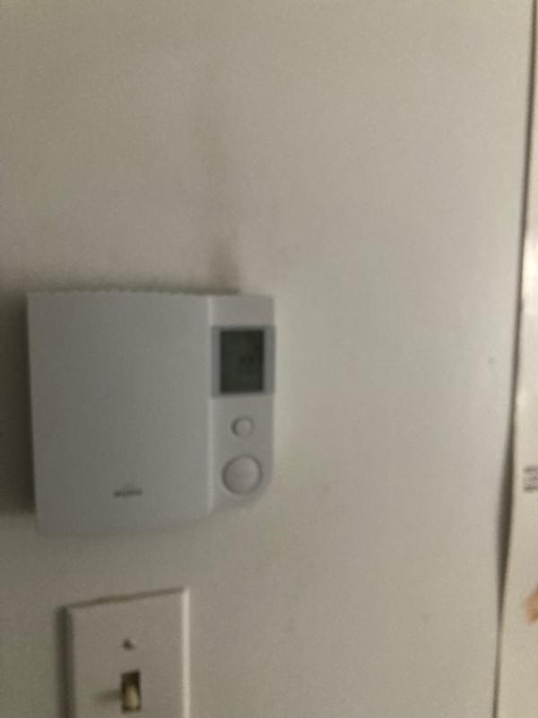 Photo - commentaire 2.