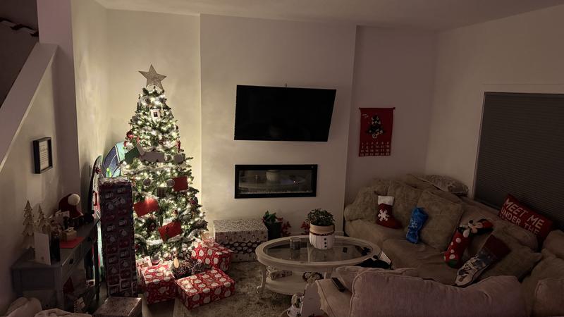 Under the tree waiting for the 12 year olds to come out and olay