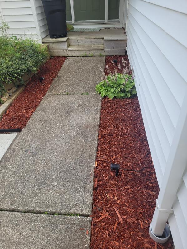 Photo - commentaire 2.