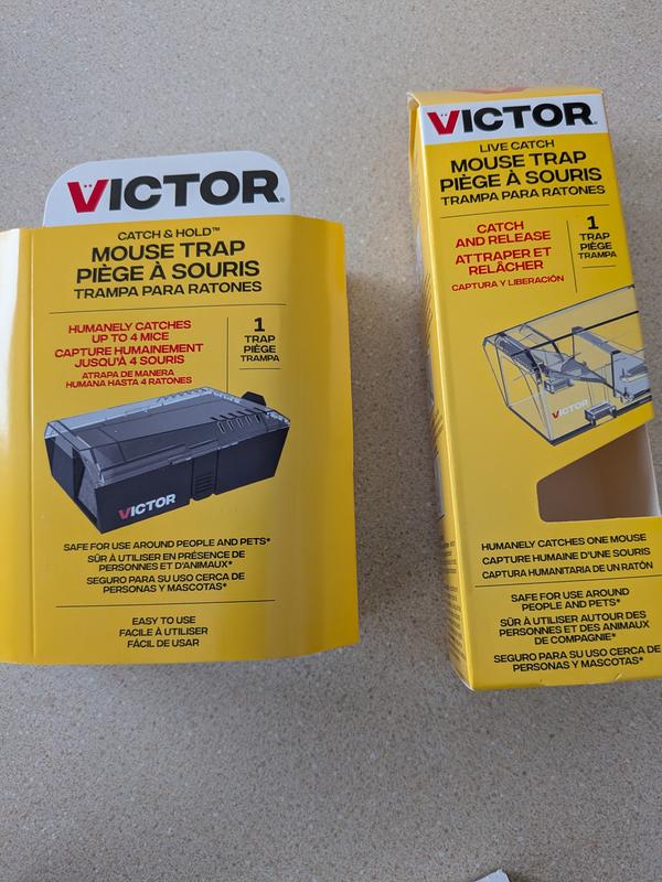 Will be free soon...2 miles away!