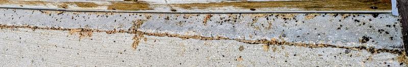 Photo - commentaire 2.