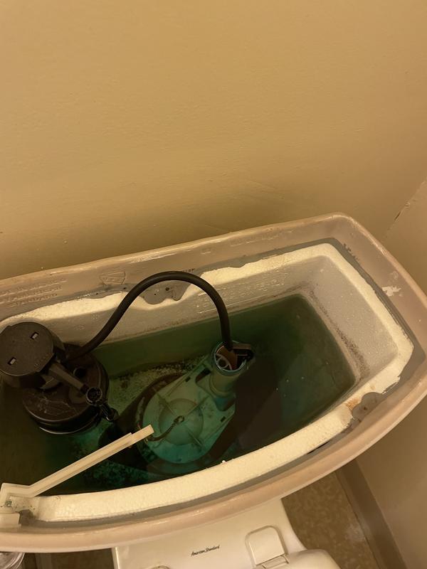 Photo - commentaire 3.