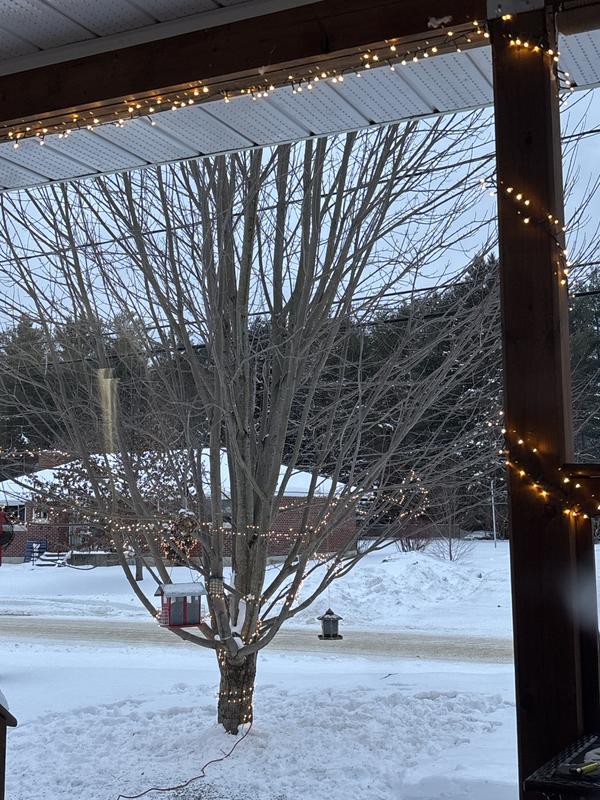 Photo - commentaire&nbsp;1.