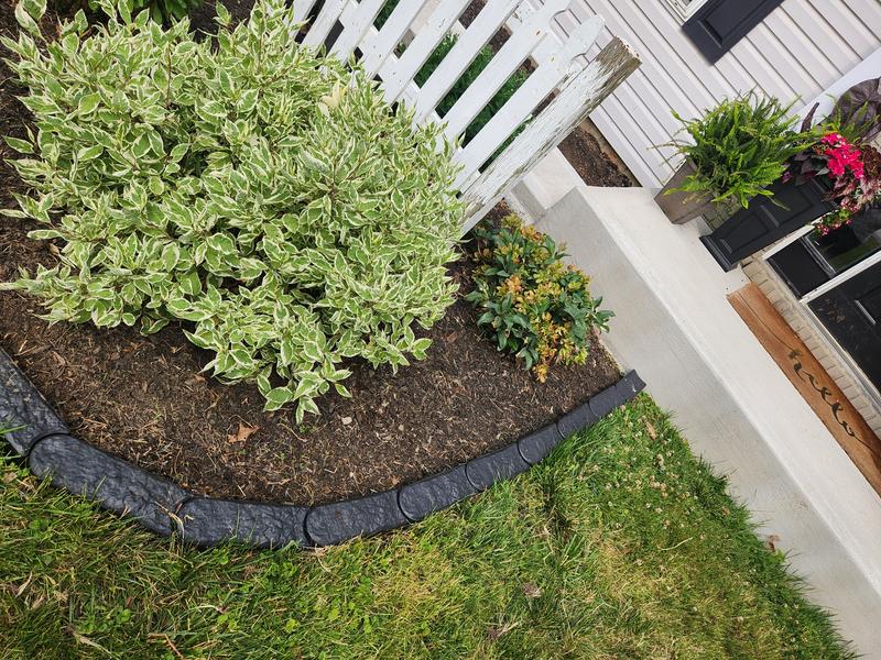 Photo - commentaire&nbsp;2.