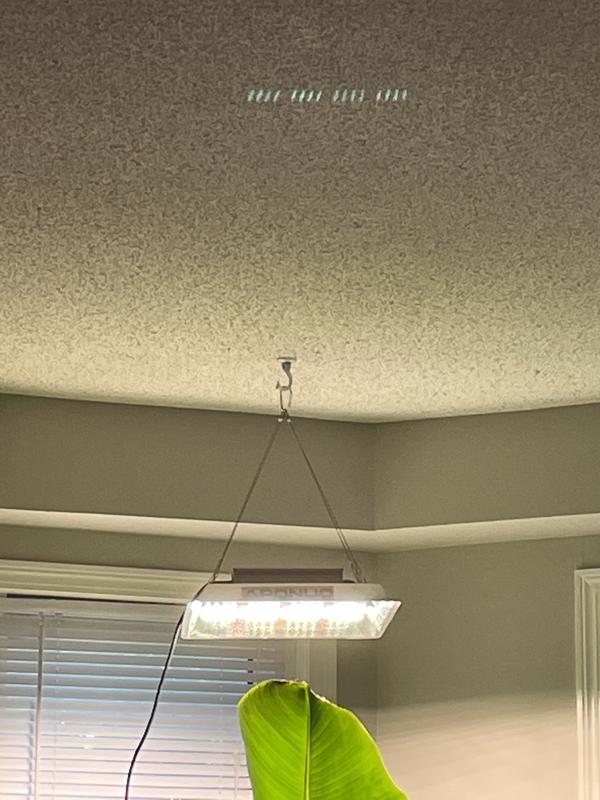 Photo - commentaire&nbsp;1.