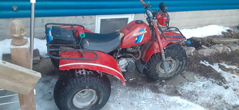 Photo - commentaire&nbsp;7.