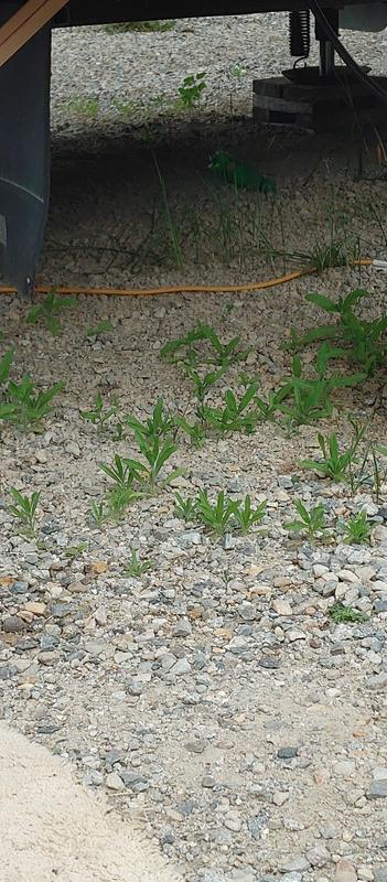 Photo - commentaire&nbsp;1.