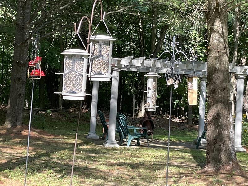 Photo - commentaire&nbsp;5.