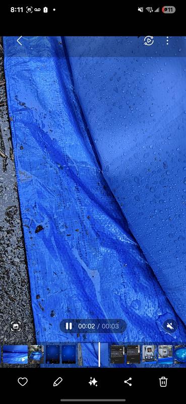 Photo - commentaire 2.