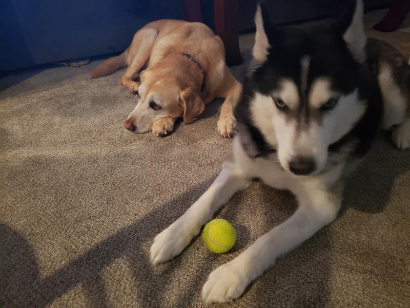 My ball now