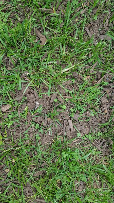 Photo - commentaire 8.