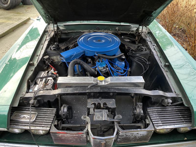 Smooth as a cat should be!