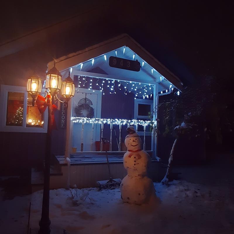 These lights were used on our bannister outside