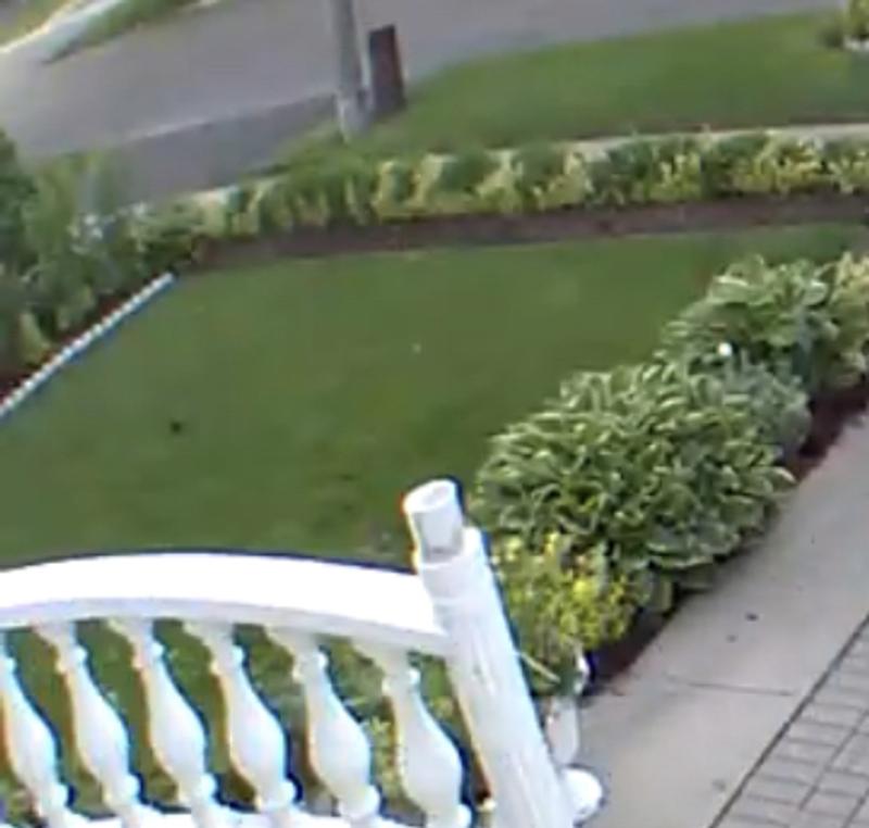 Photo - commentaire 8.