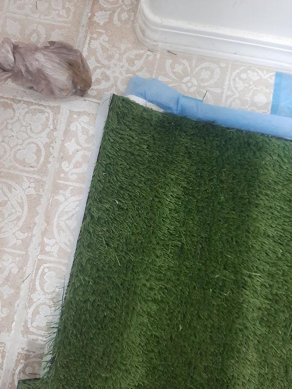 P00p, wicking, clean turf