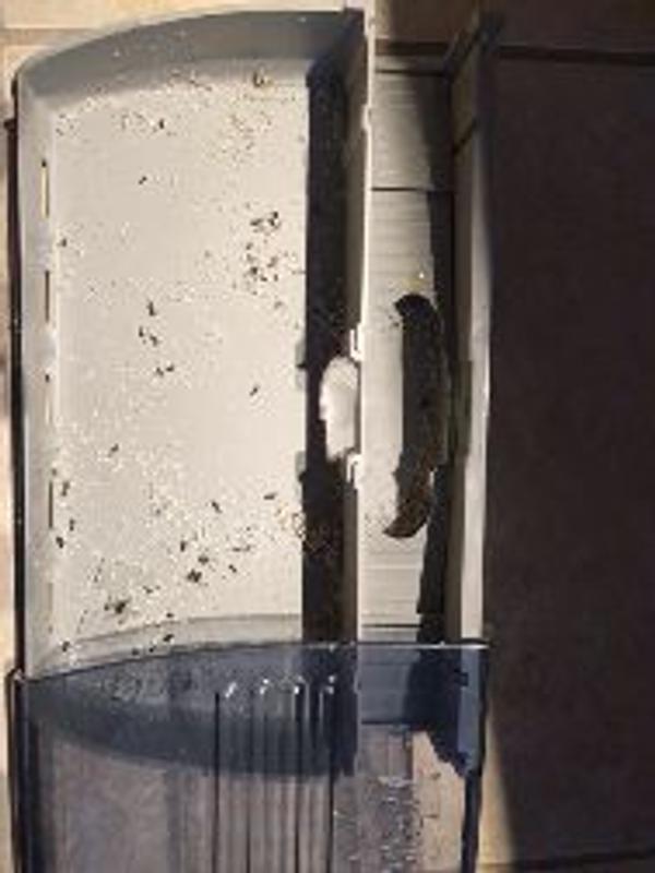 Photo - commentaire&nbsp;1.