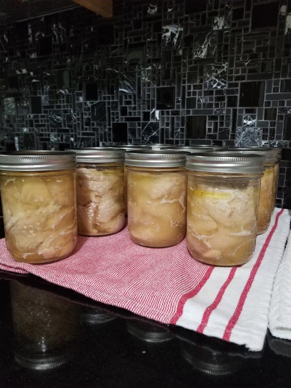 Photo - commentaire&nbsp;8.