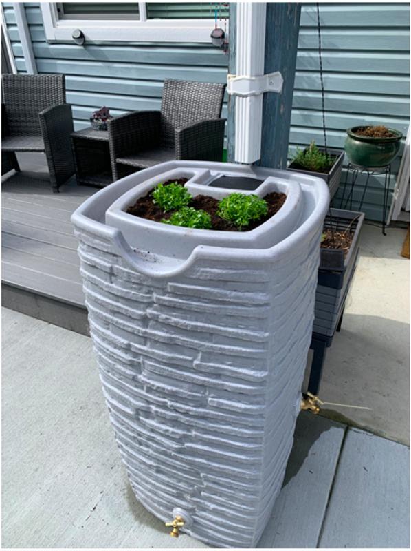 Photo - commentaire 1.