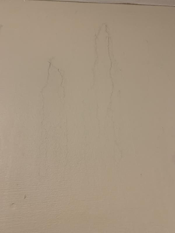 Review photo 3.
