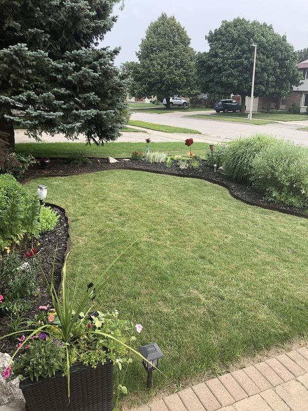 Multy Home Coiled Garden Border Lawn Edging Canadian Tire