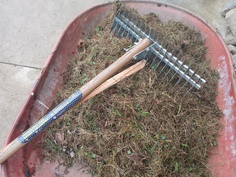 Managed to load photo after review was submitted.