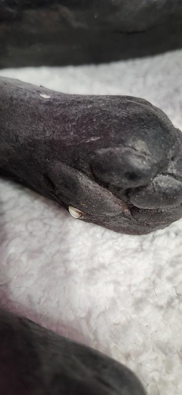 Photo - commentaire 3.