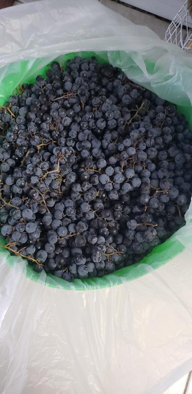 Photo - commentaire&nbsp;2.