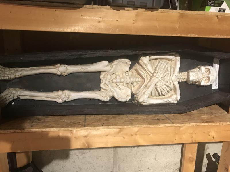 Coffin Skeleton