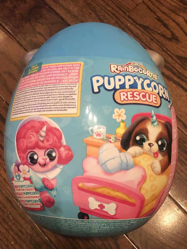 Photo - commentaire 2.