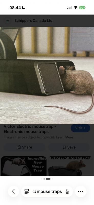 Sorry uninvited tenant