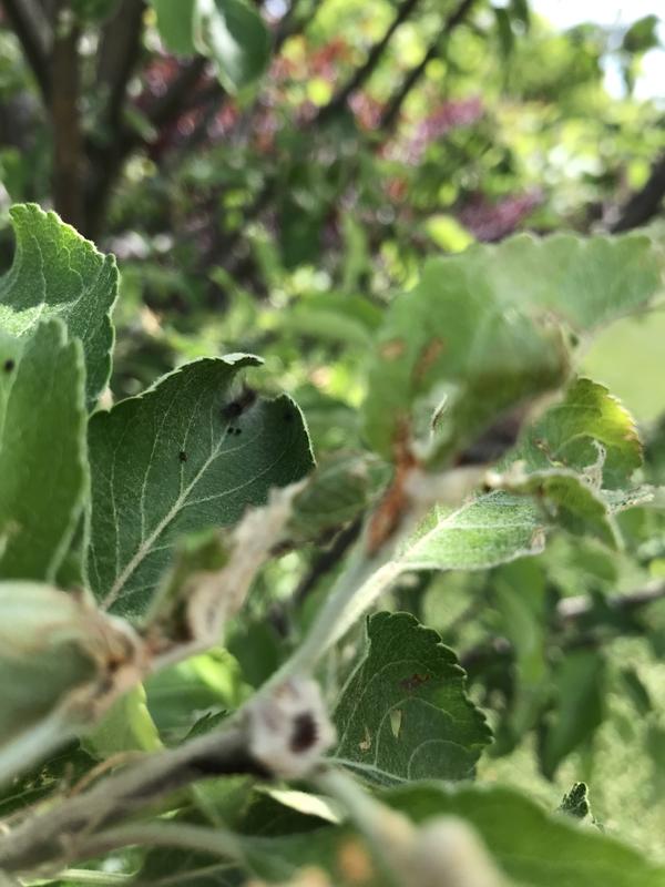 Photo - commentaire&nbsp;3.