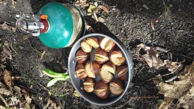 Photo - commentaire 3.