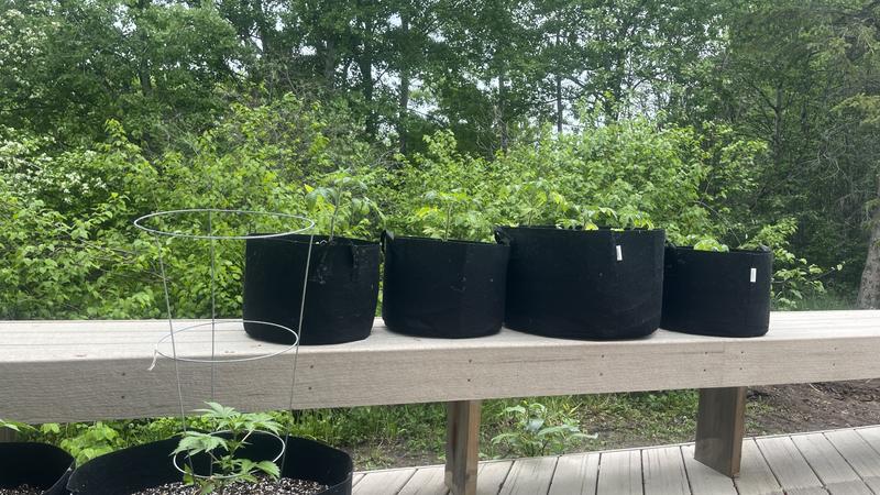 Photo - commentaire 4.