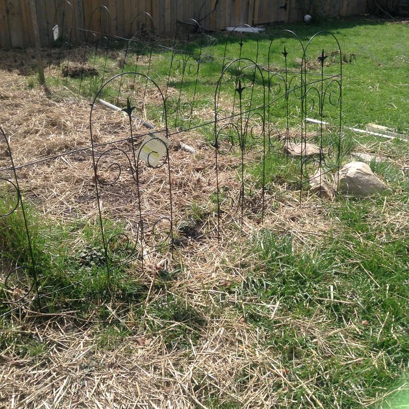 Photo - commentaire 2.