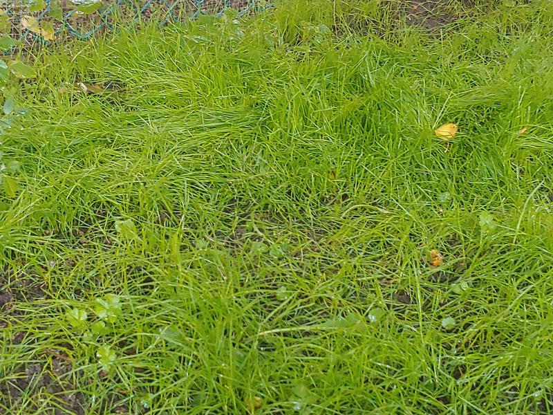 Photo - commentaire 4.