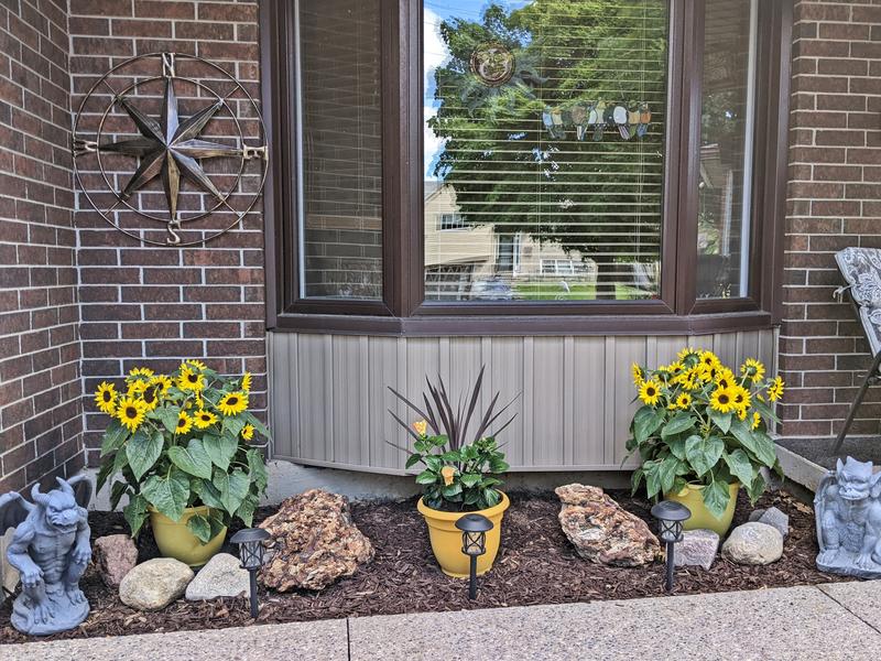 Photo - commentaire 1.